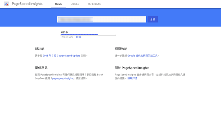 Google PageSpeed Insights 新版界面 - 审查
